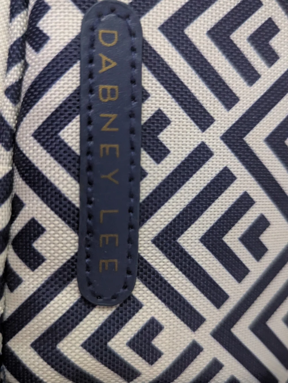 Navy and White Lunch Bag